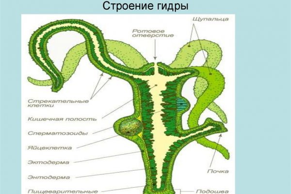 Кракен маркет kr2web in