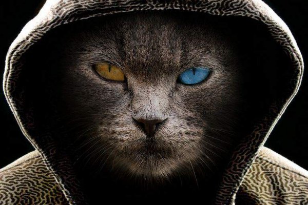 Кракен москва наркотики